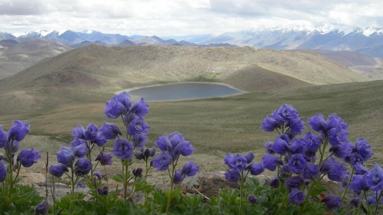 Photo of Outdoor in Leh