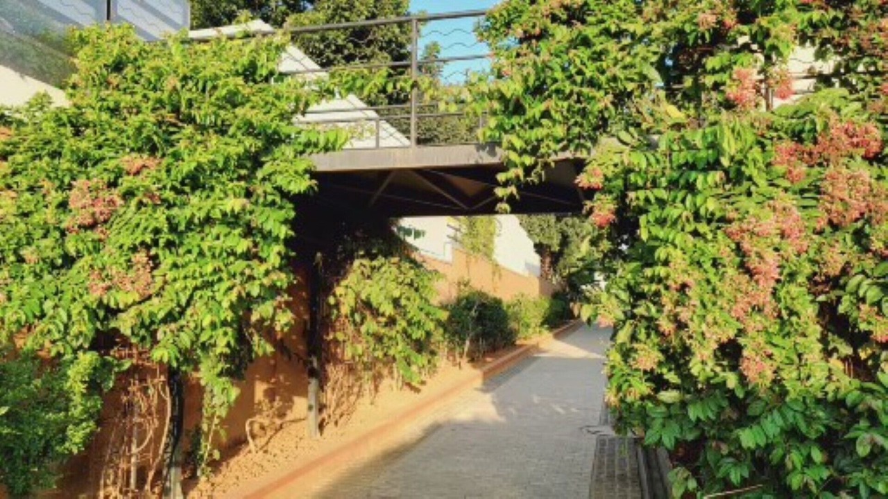 Photo of Outdoor in Electronics City