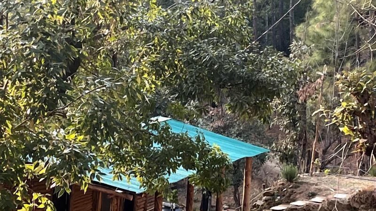 Photo of Outdoor in Kaul