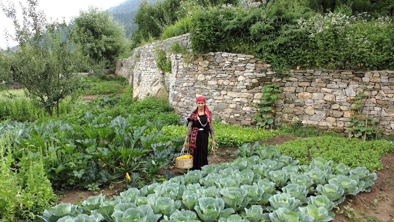 Photo of Outdoor in Manali