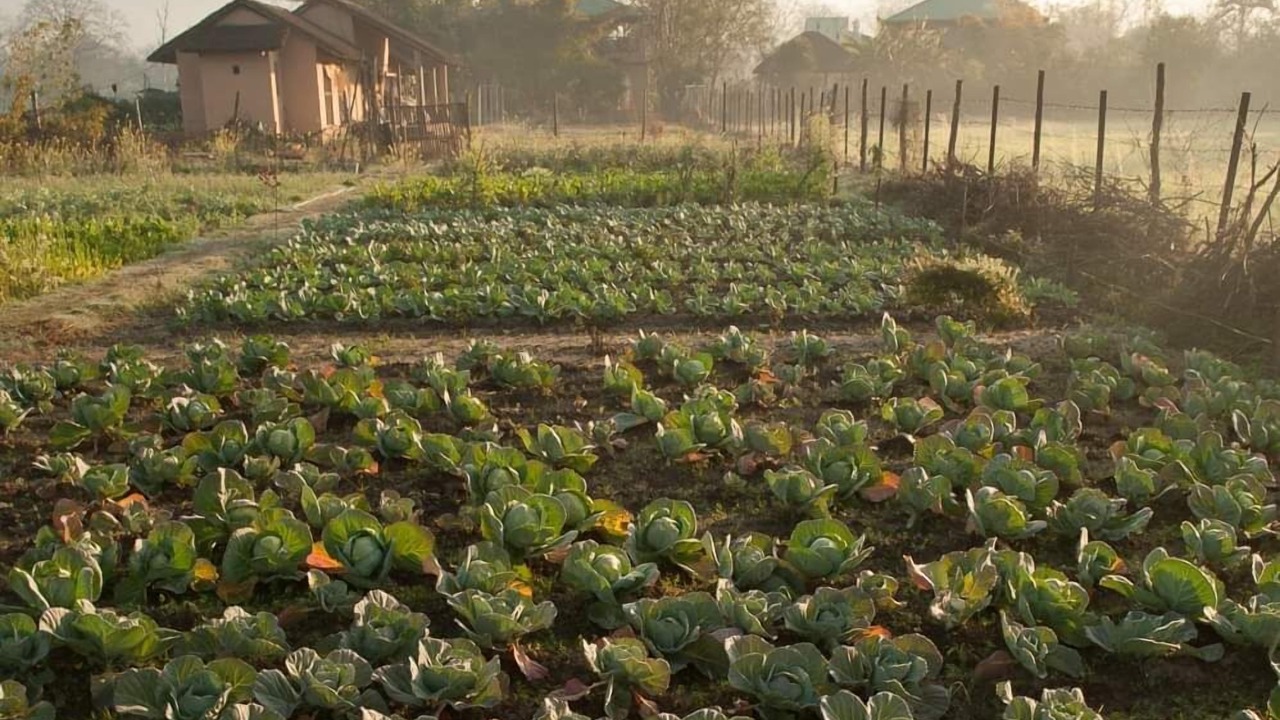 Photo of Outdoor in Dhela