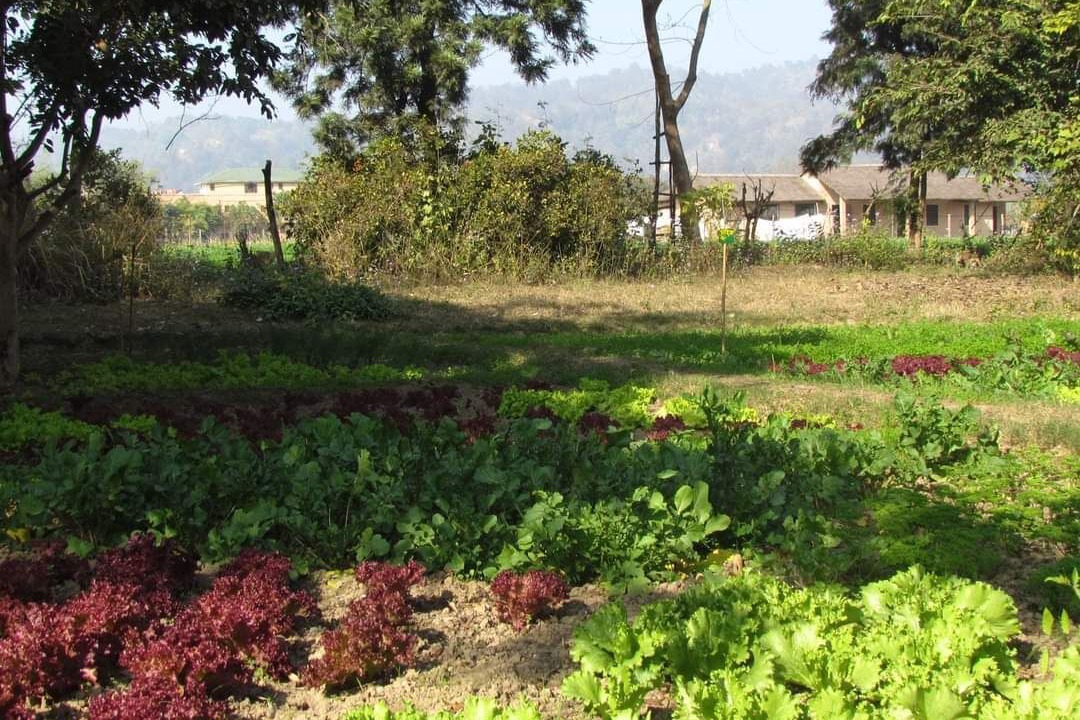 Photo of Outdoor in Dhela
