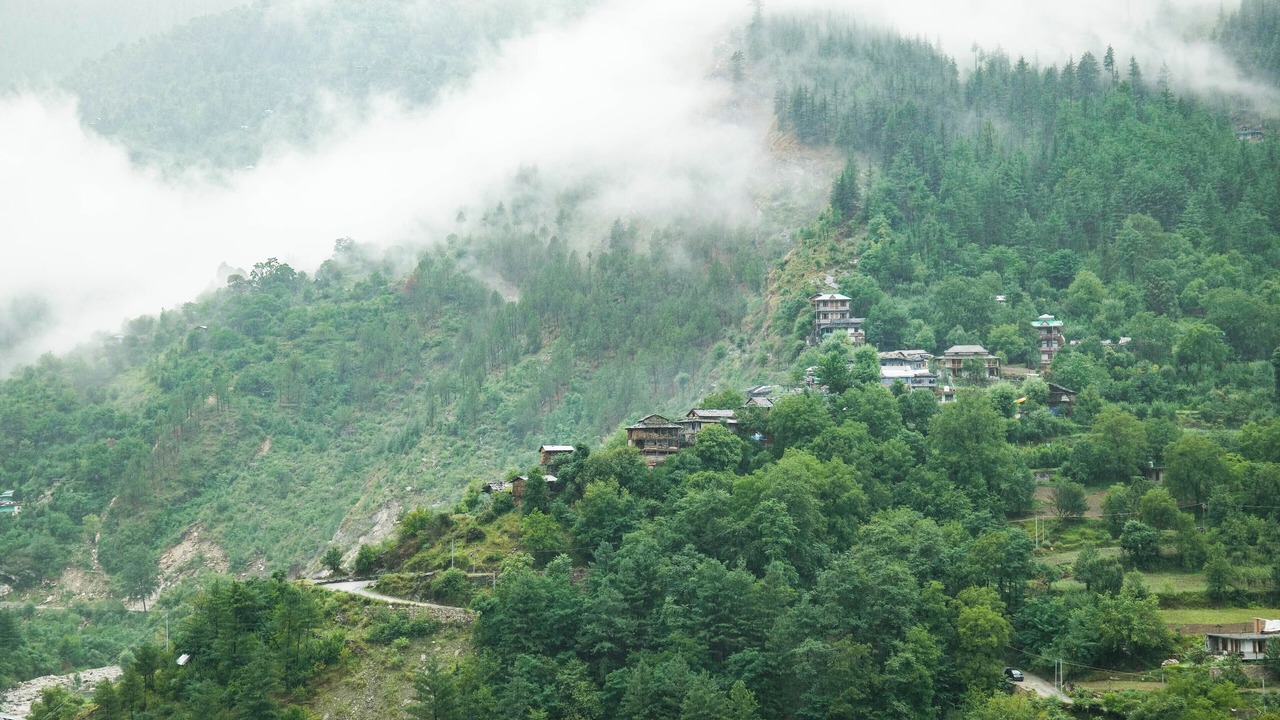 Photo of Others in Jibhi