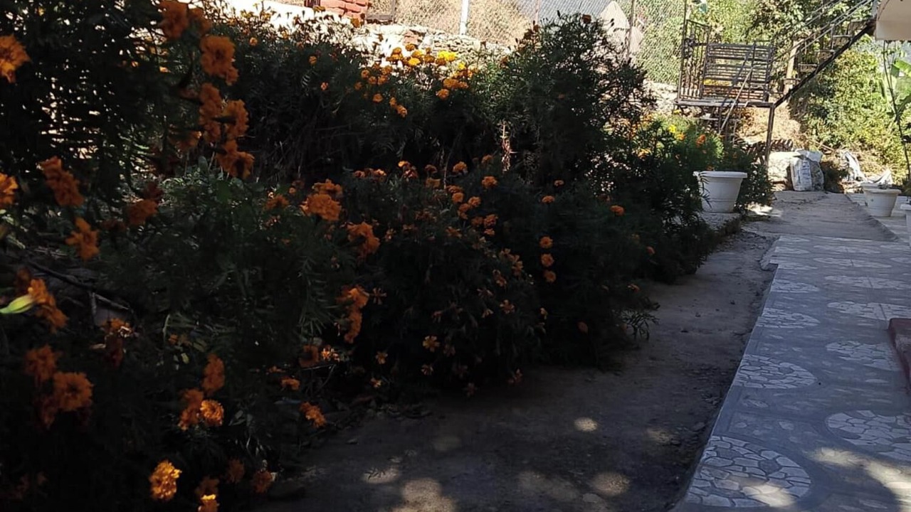 Photo of Outdoor in Bhimtal