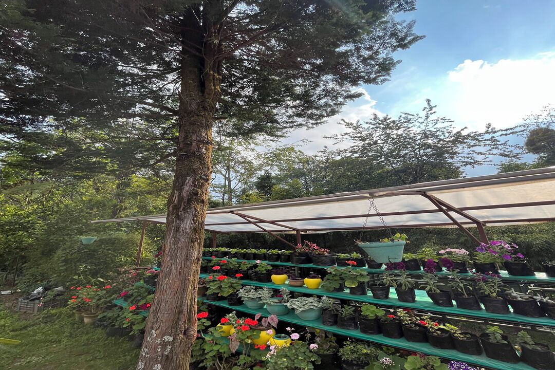 Photo of Outdoor in Pelling