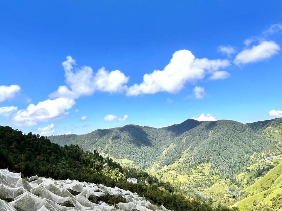 Photo of Outdoor in Shilon Bagh