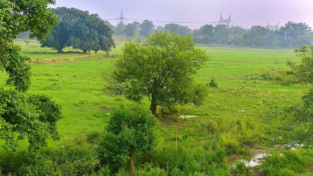 Photo of Others in Shivalik Nagar
