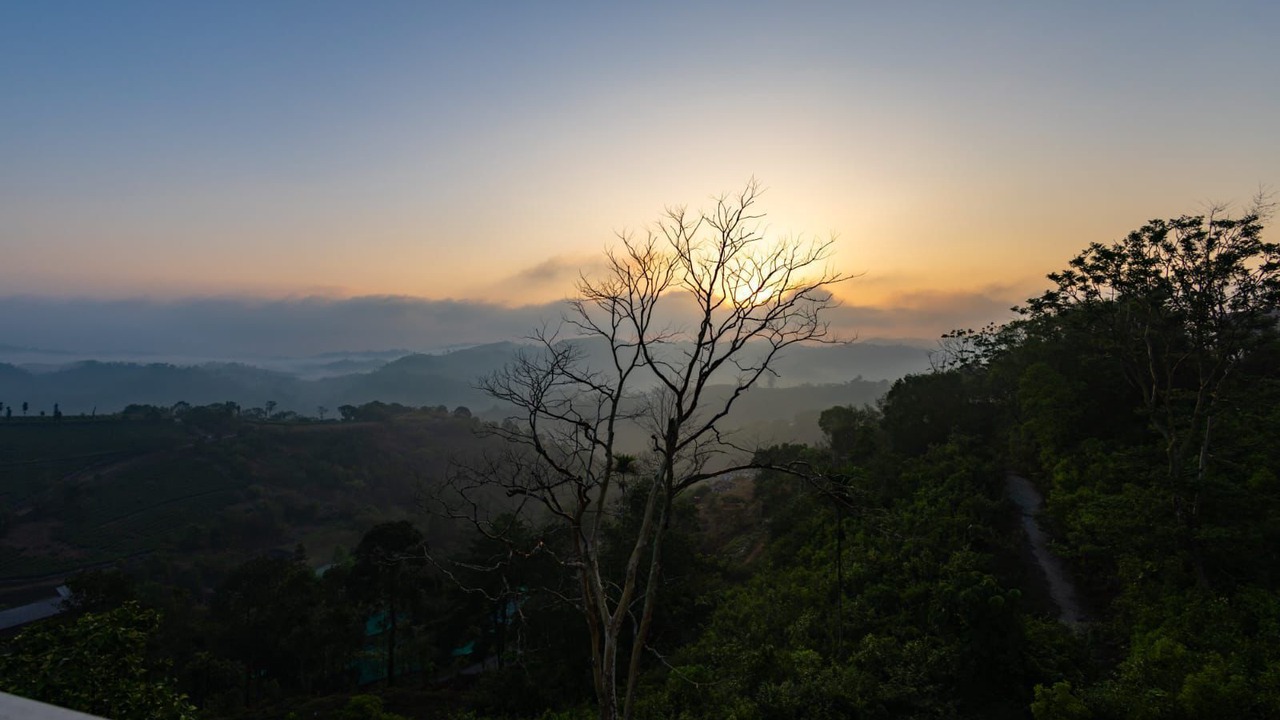 Photo of Others in Elappara