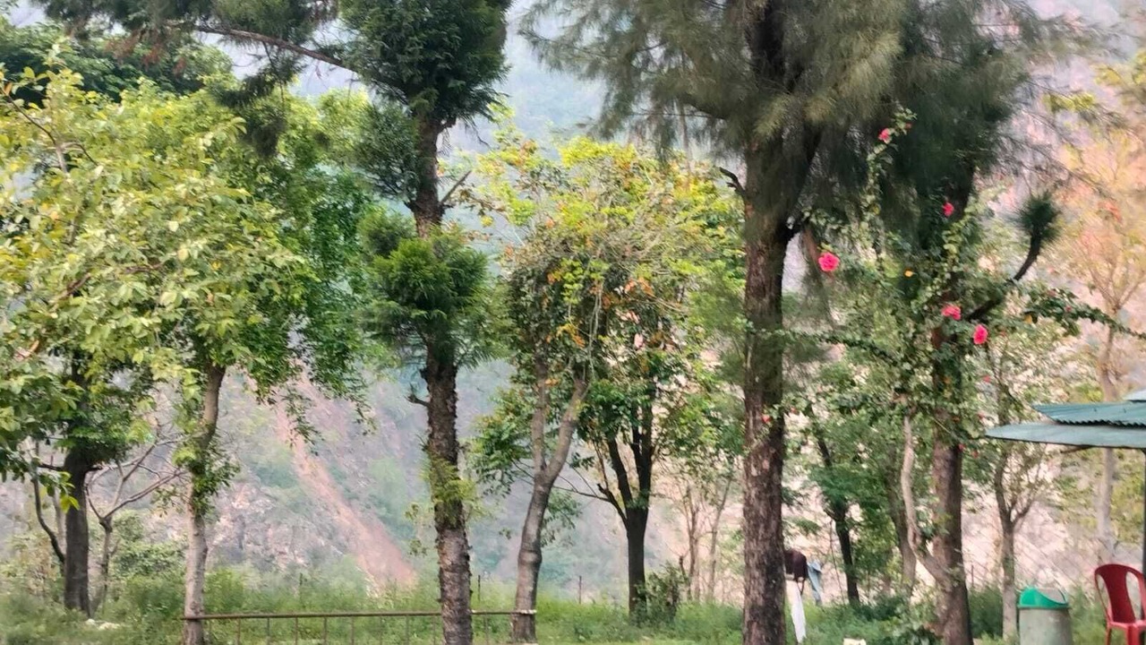 Photo of Others in Shivanandi
