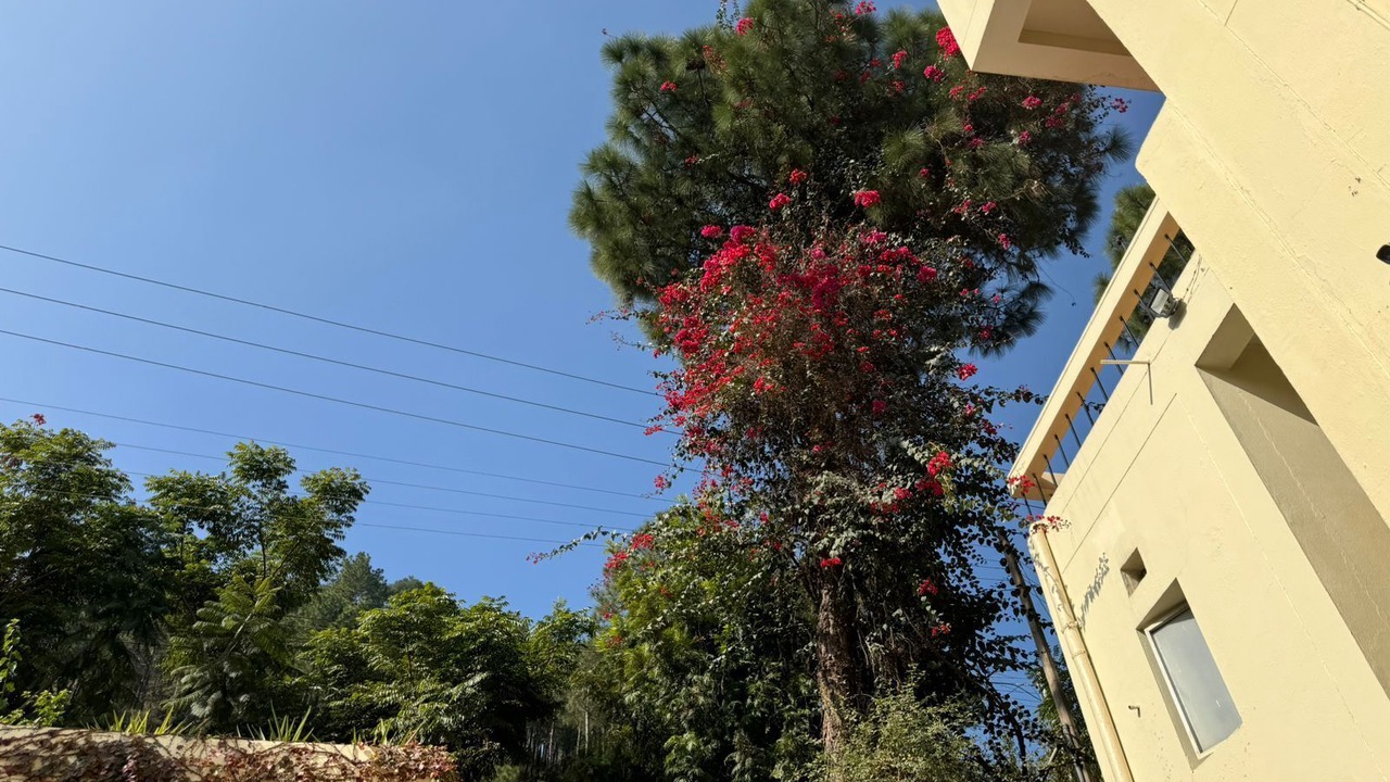 Photo of Outdoor in Kumarhatti