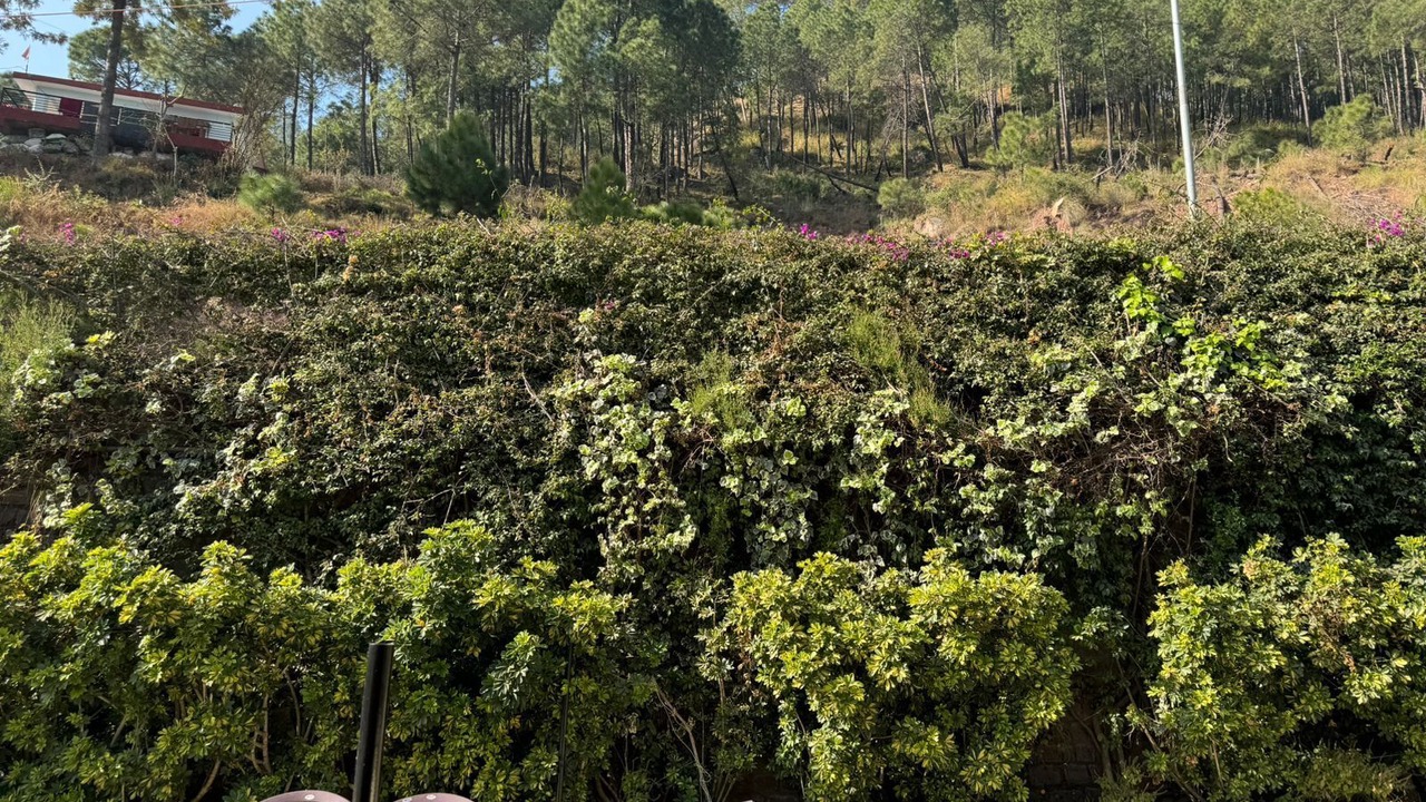 Photo of Outdoor in Kumarhatti