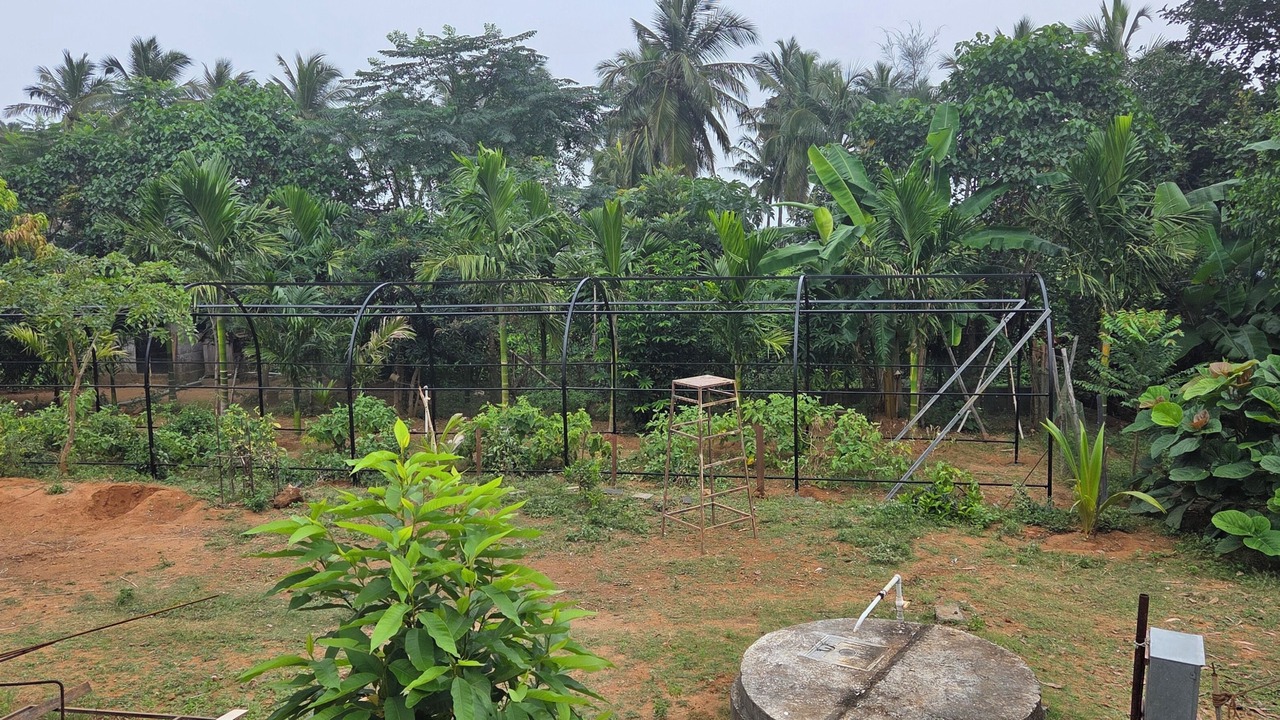 Photo of Outdoor in Tenkasi