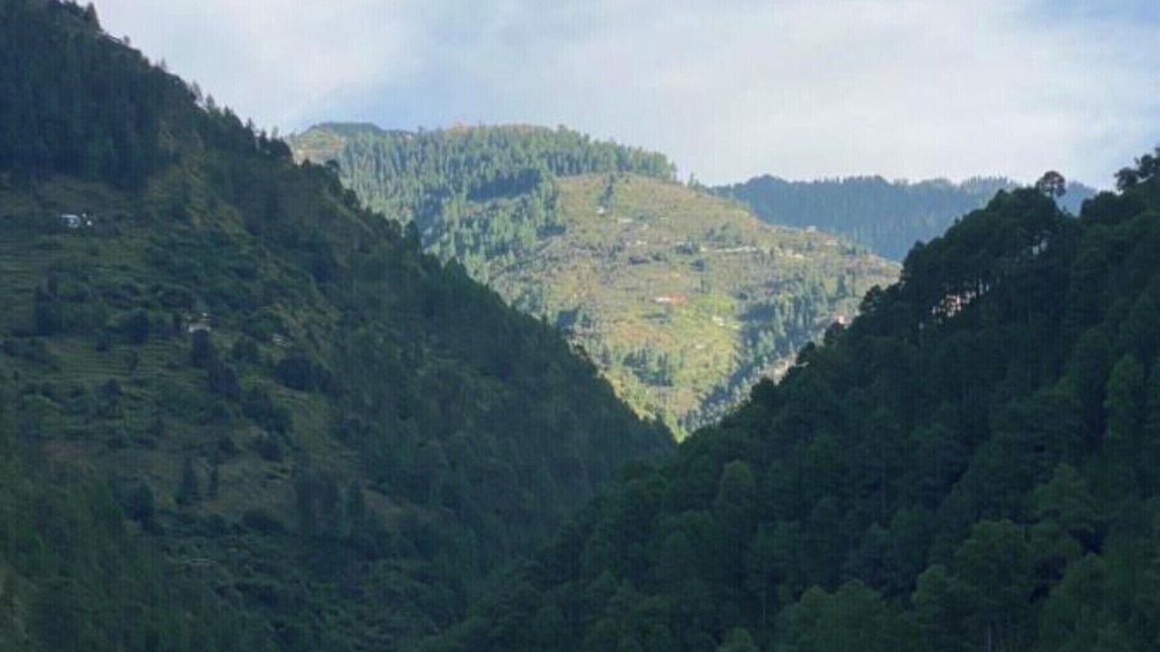 Photo of Others in Kumharsain