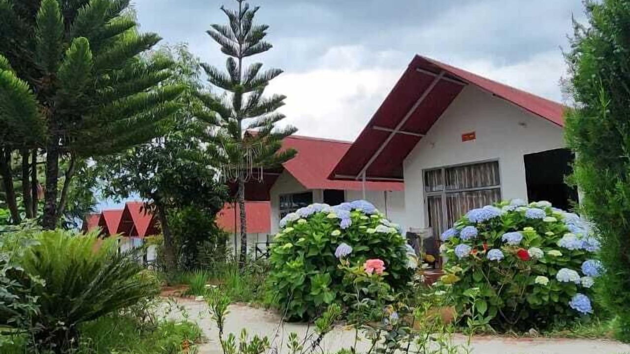 Photo of Outdoor in Narainkoti