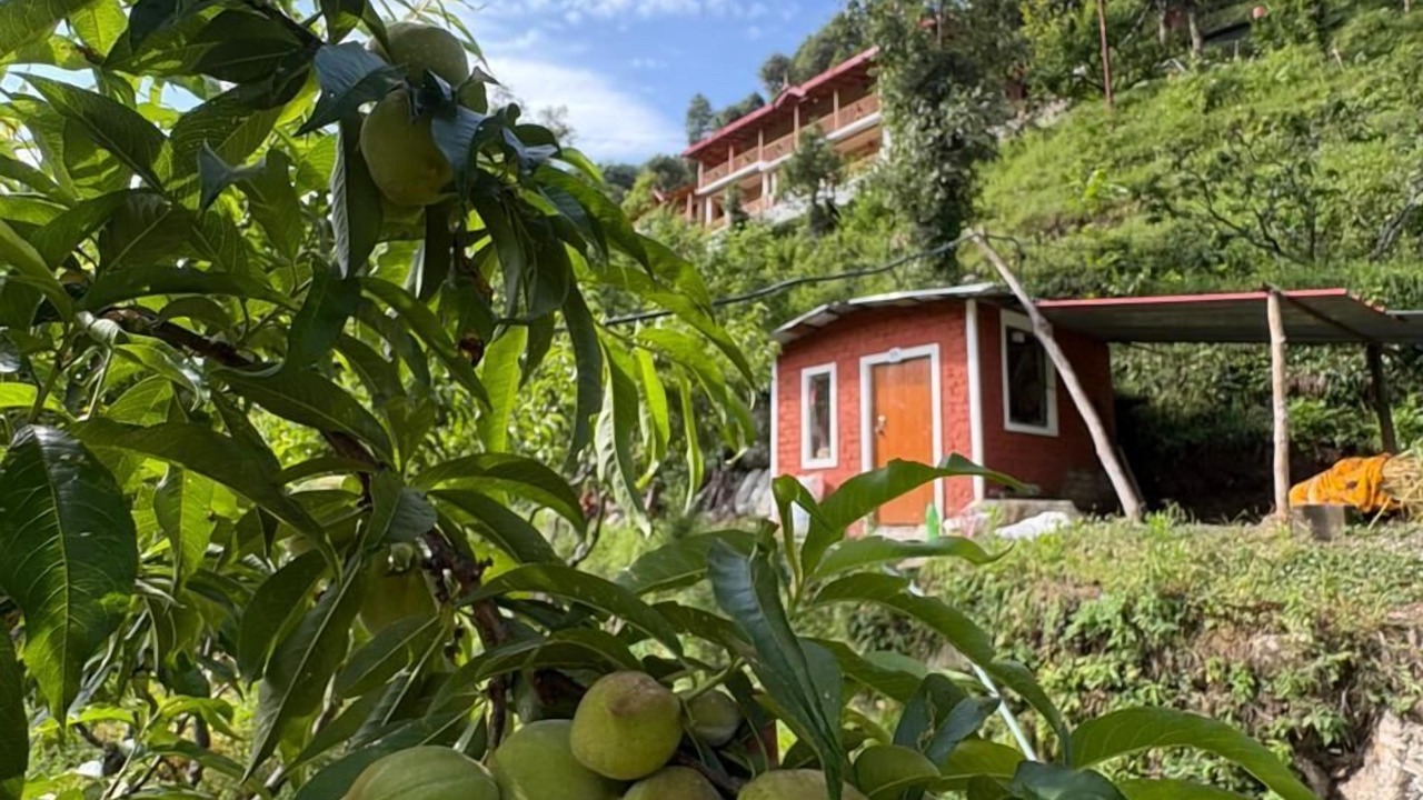 Photo of Outdoor in Bhowali