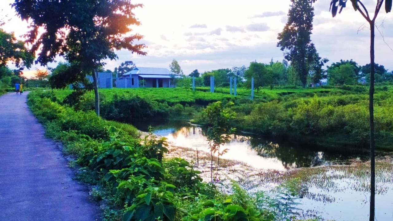 Photo of Outdoor in Neora