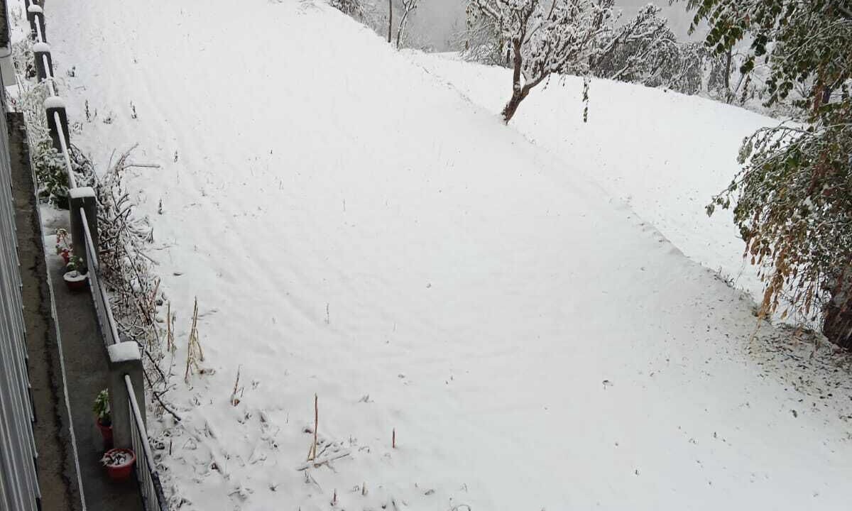 Photo of Bedroom in Chakrata