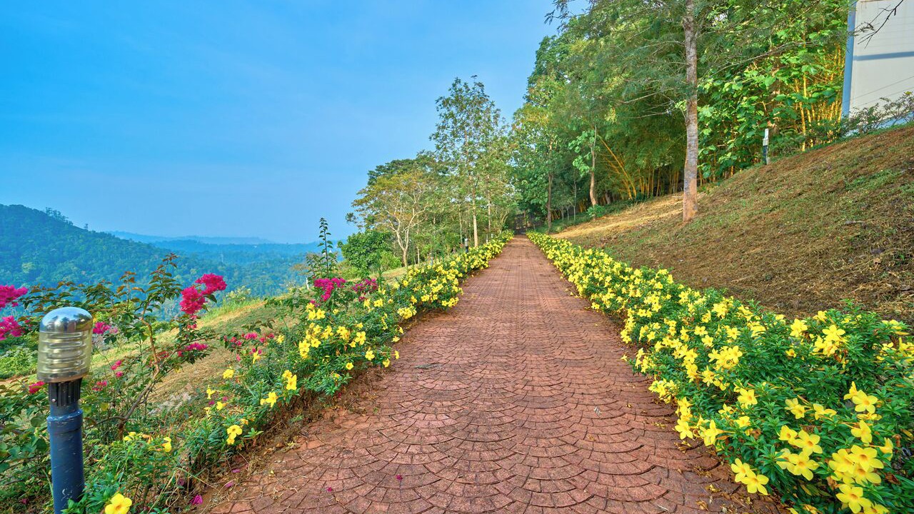 Photo of Outdoor in Udumbanchola