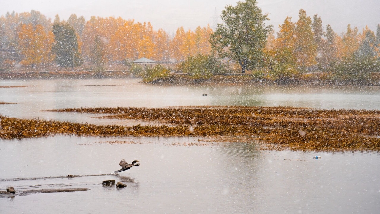 Photo of Others in Sissu