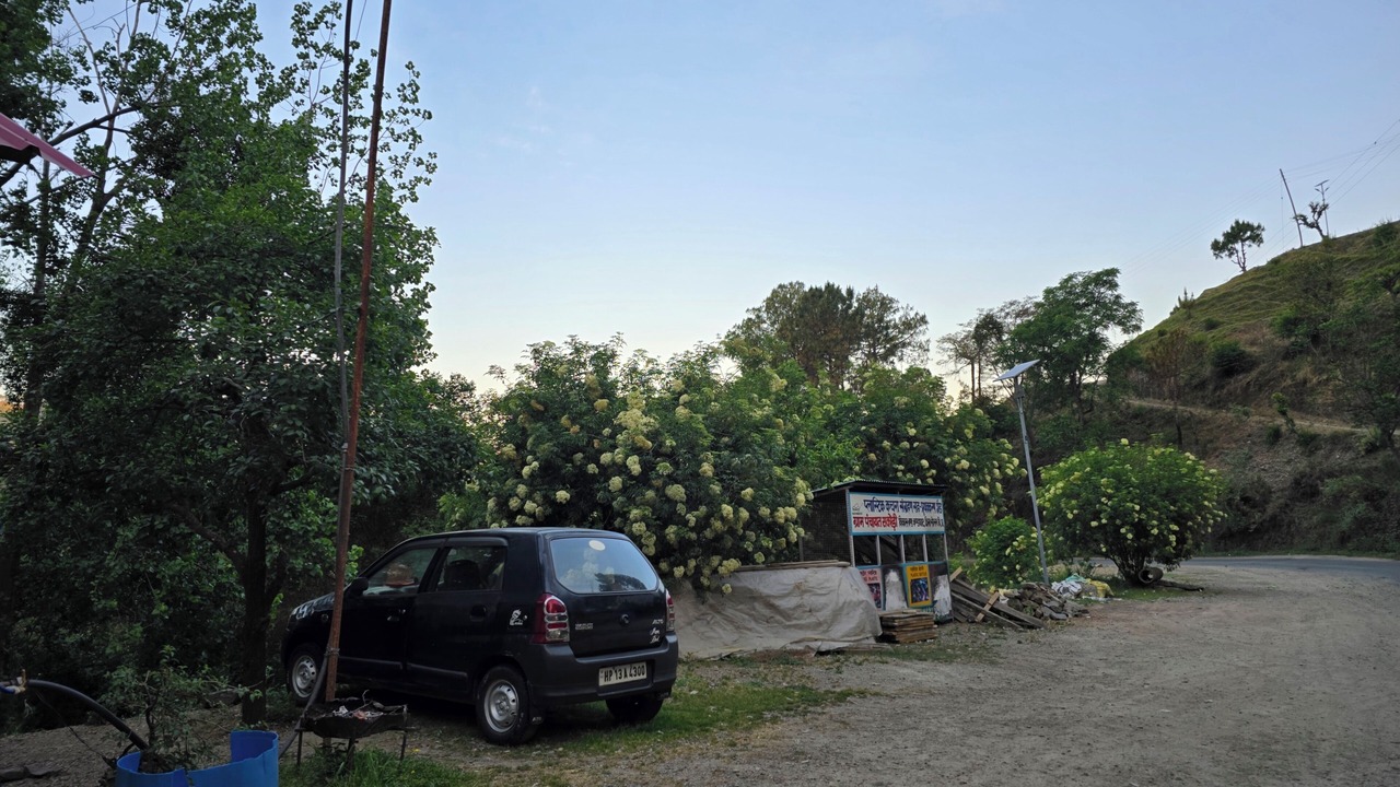 Photo of Outdoor in Chail