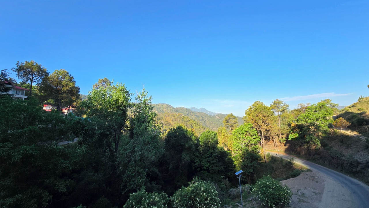 Photo of Bedroom in Chail