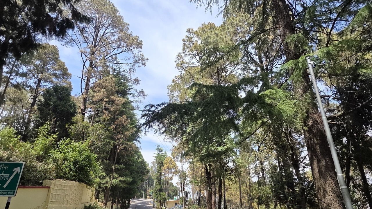 Photo of Outdoor in Sirala