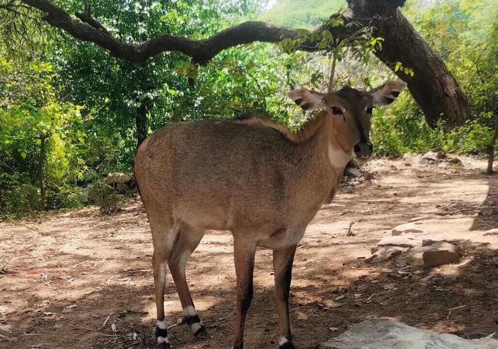 Photo of Outdoor in Sainik Farm