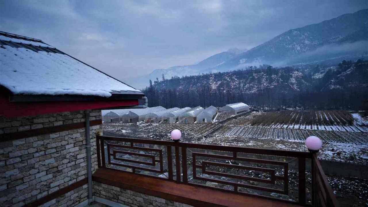 Photo of Others in Manali