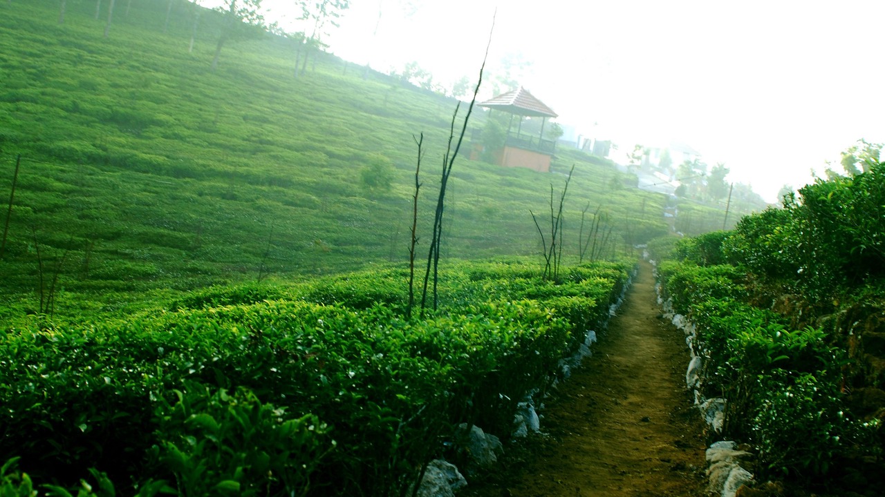 Photo of Outdoor in Kotagiri