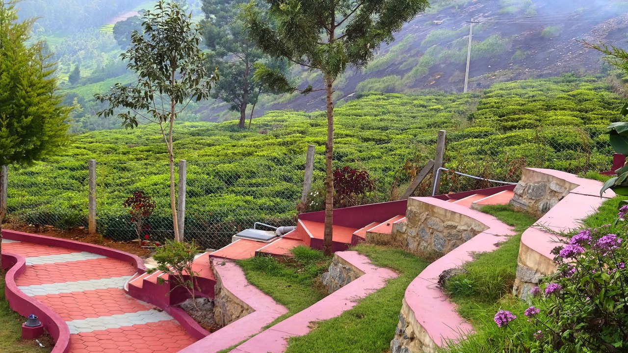 Photo of Outdoor in Kotagiri