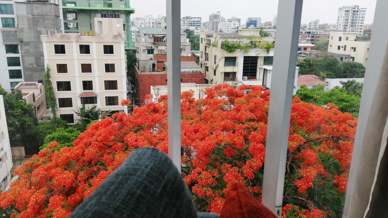 Photo of Outdoor in Gulshan