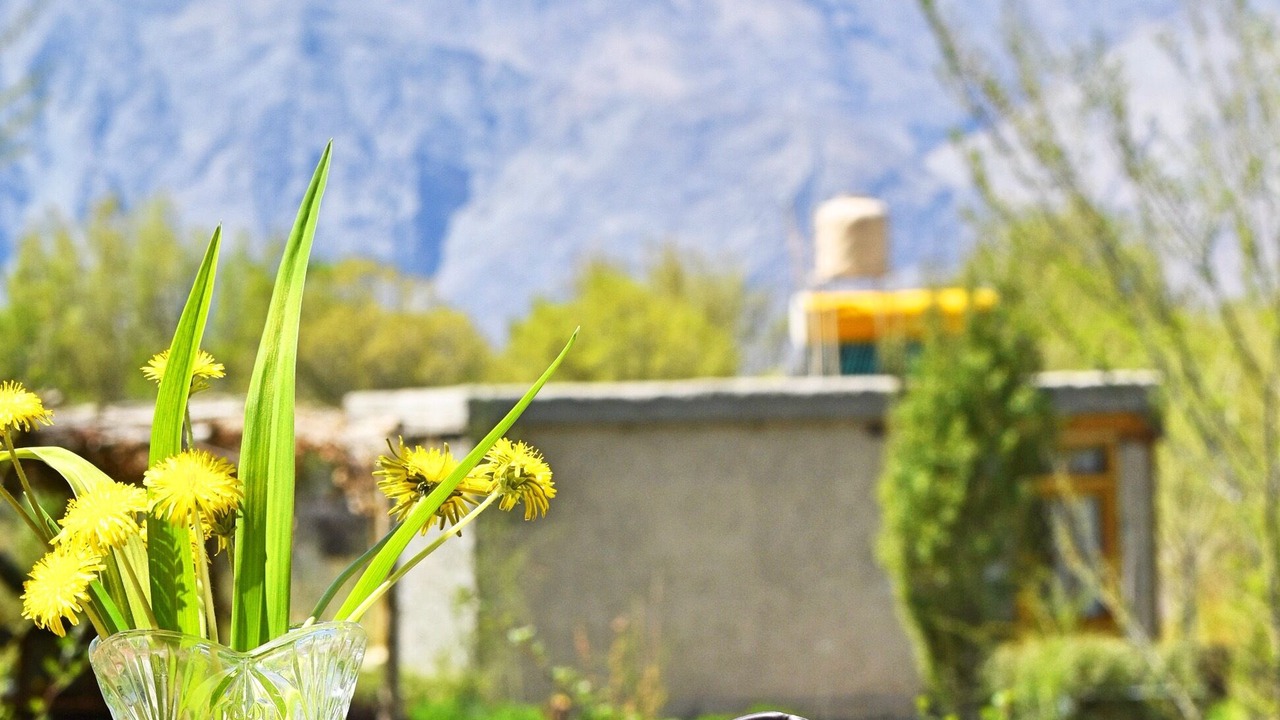 Photo of Others in Nubra Valley