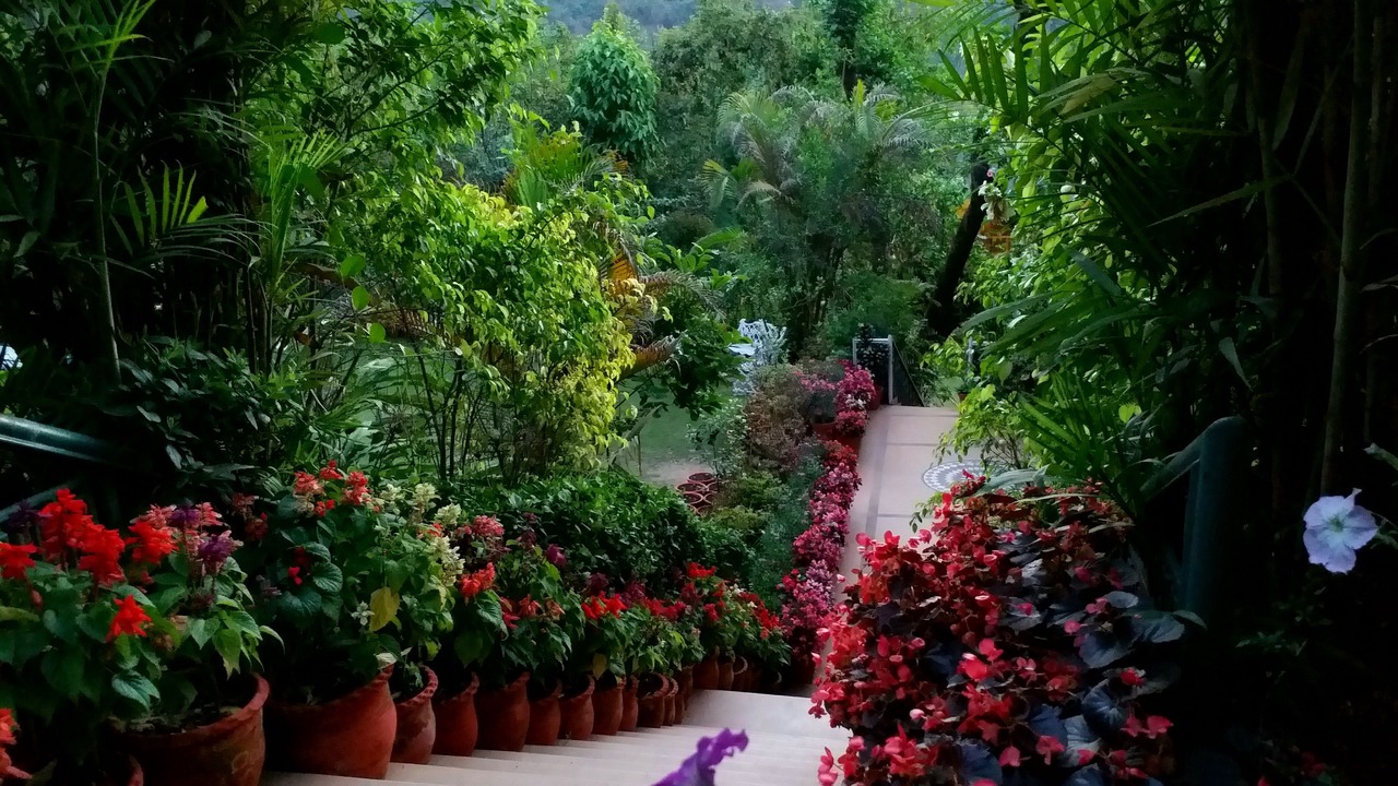 Photo of Outdoor in Bigha