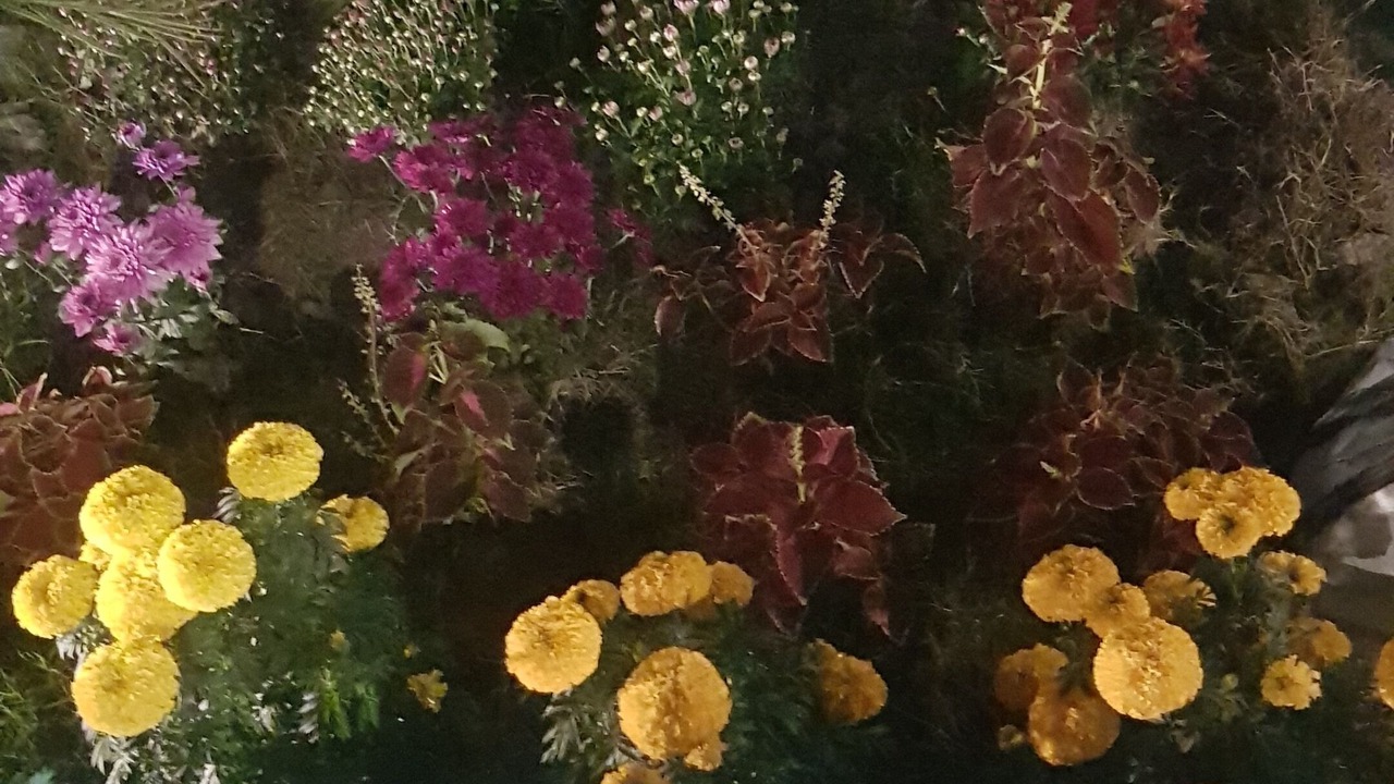 Photo of Outdoor in Dhaka Division