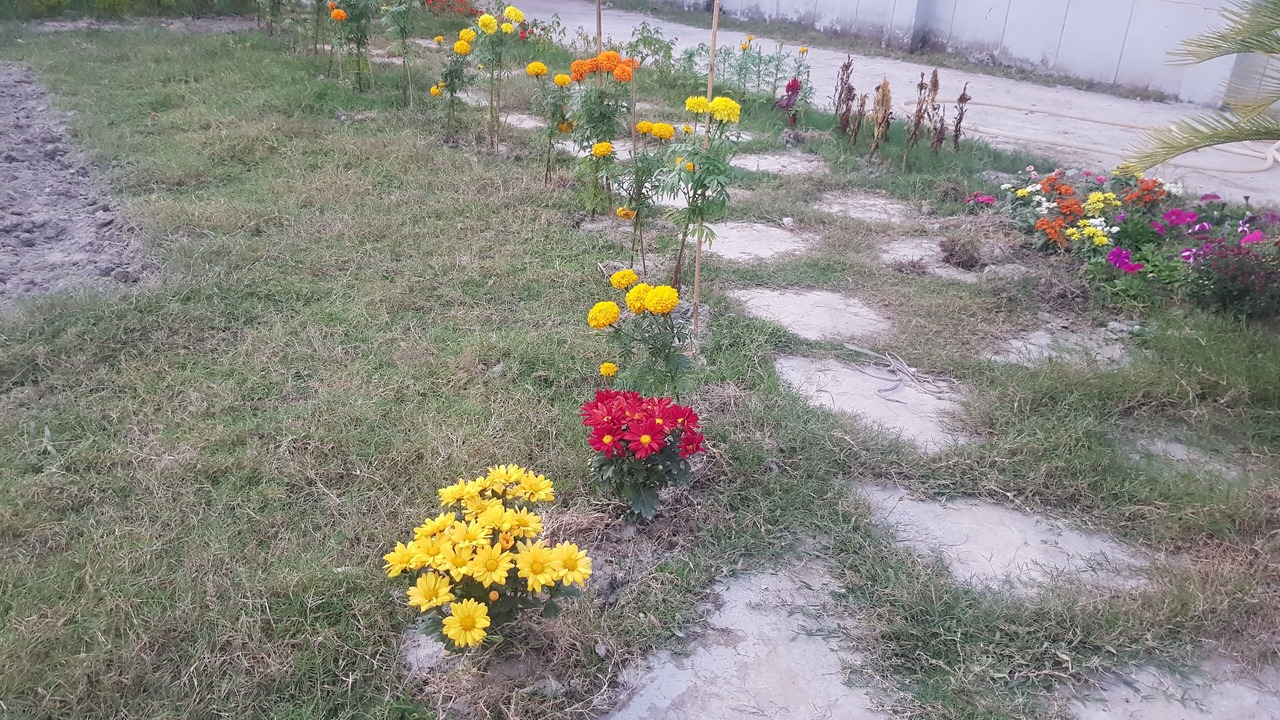 Photo of Outdoor in Dhaka Division
