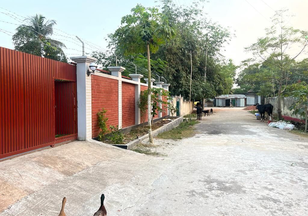 Photo of Outdoor in Dhaka Division