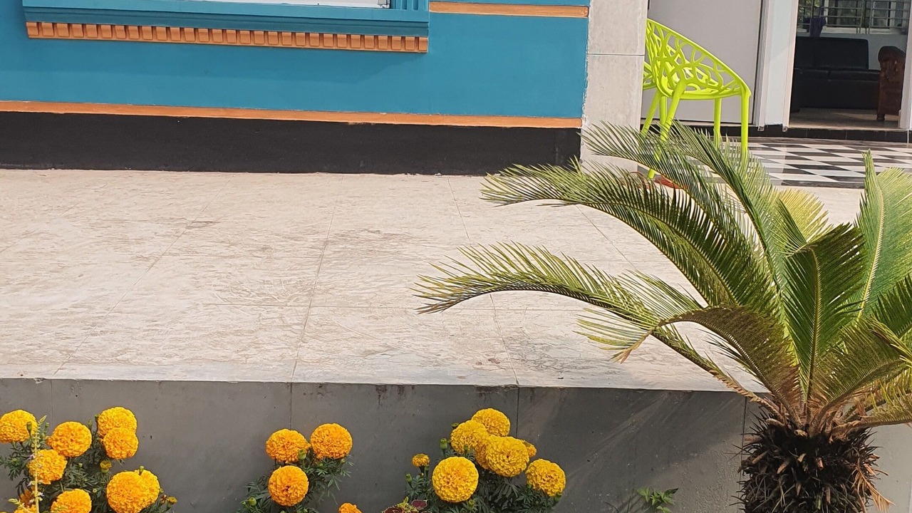 Photo of Outdoor in Dhaka Division