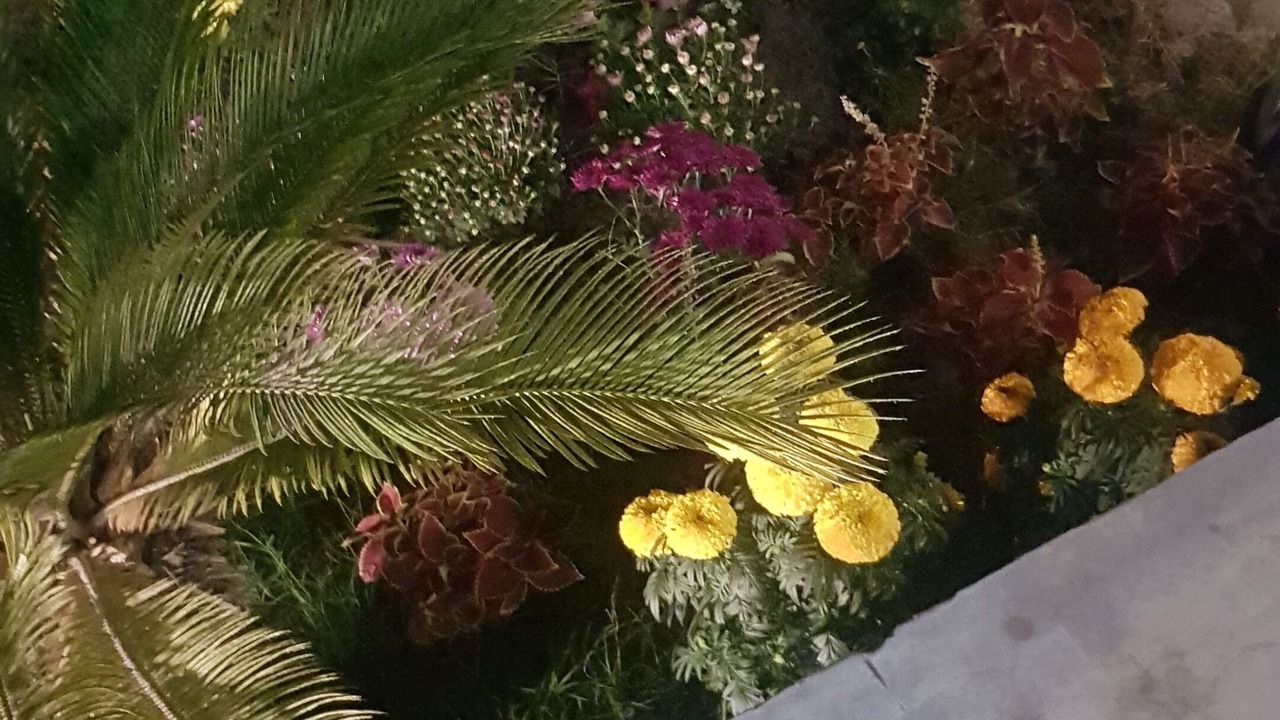 Photo of Outdoor in Dhaka Division