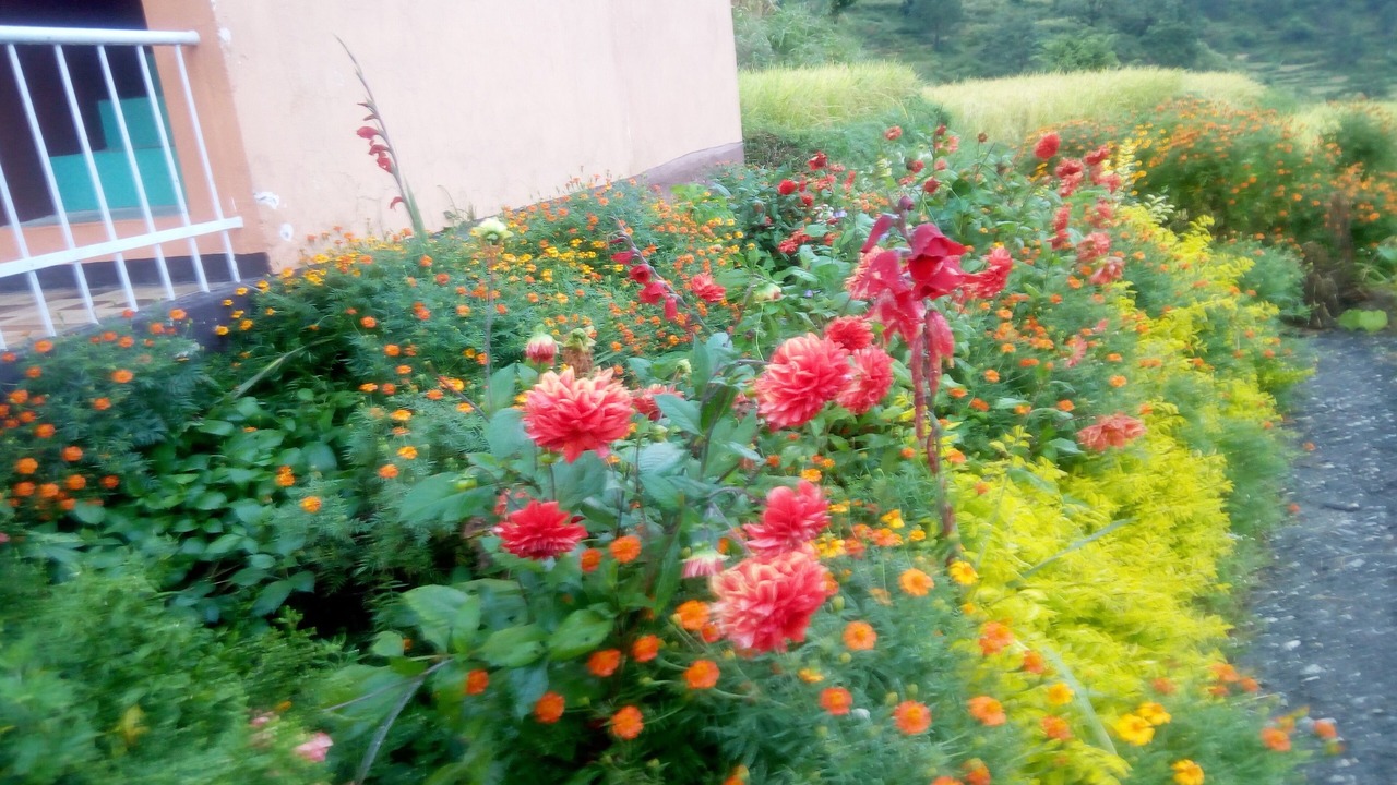Photo of Outdoor in Uttarkashi