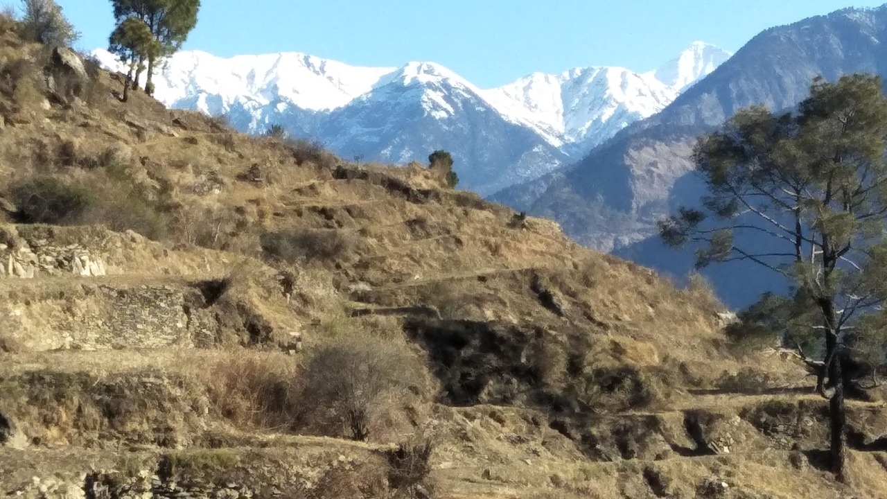 Photo of Others in Uttarkashi