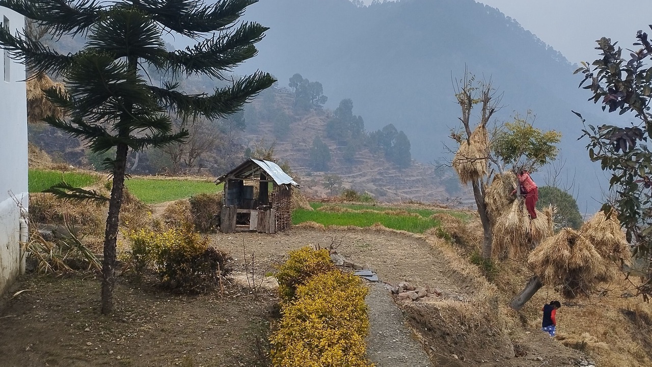 Photo of Outdoor in Uttarkashi