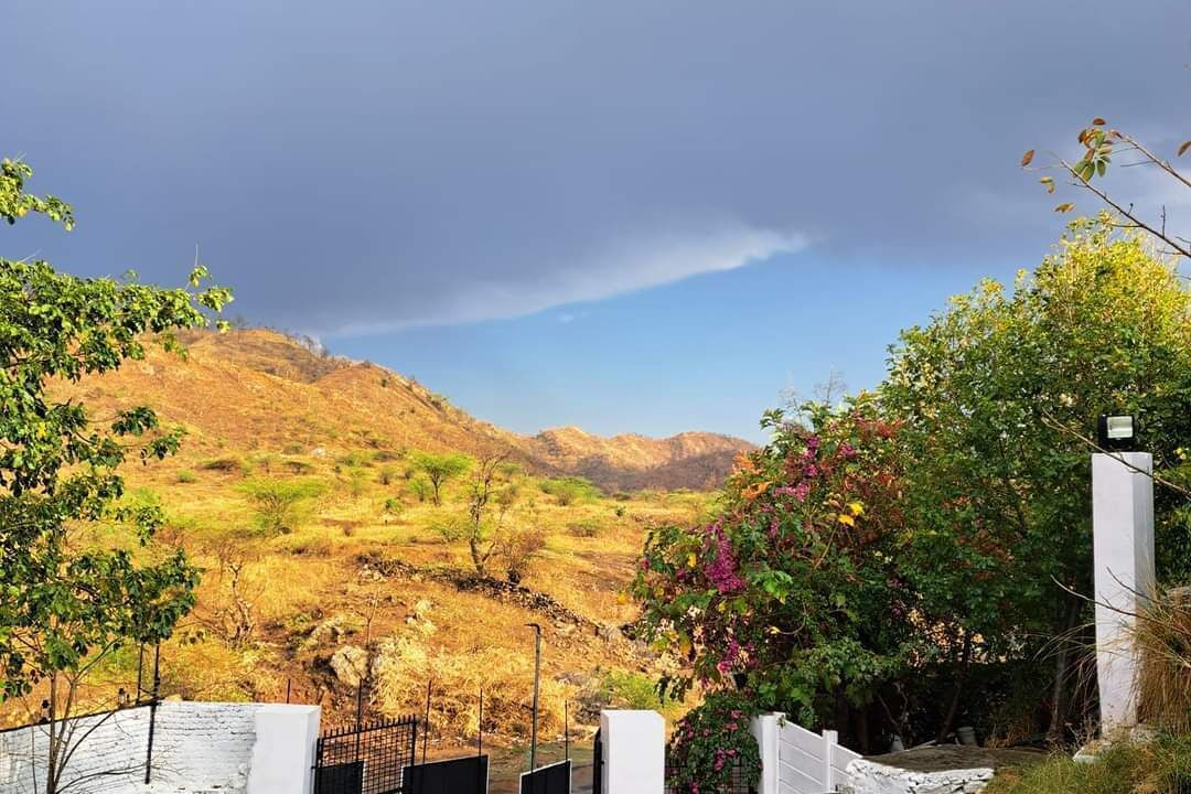 Photo of Outdoor in Sarada