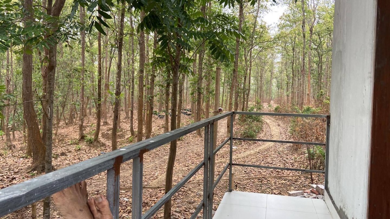Photo of Outdoor in Jamalpur