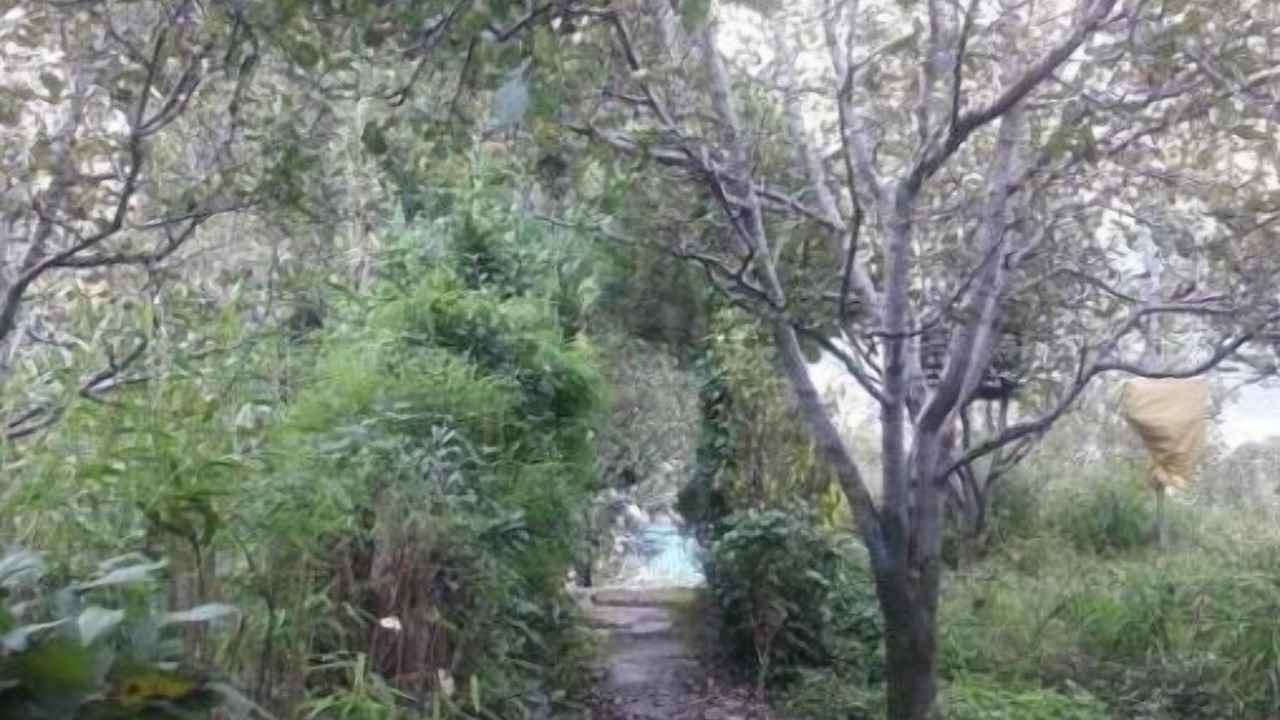 Photo of Outdoor in Manali