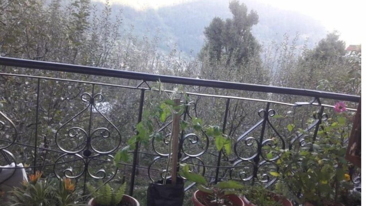 Photo of Outdoor in Manali