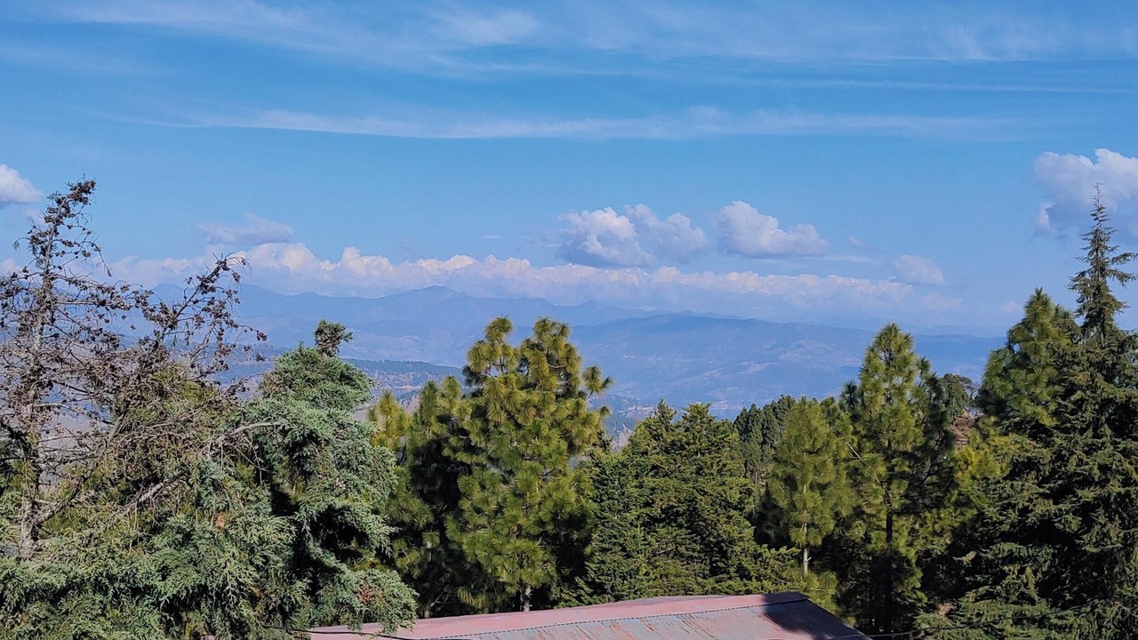 Photo of Outdoor in Ranikhet