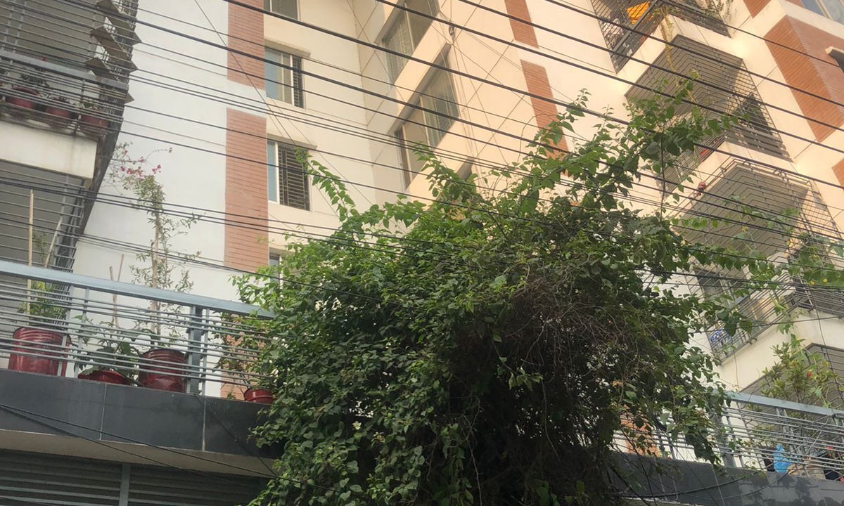 Photo of Outdoor in Basundhara Residential Area