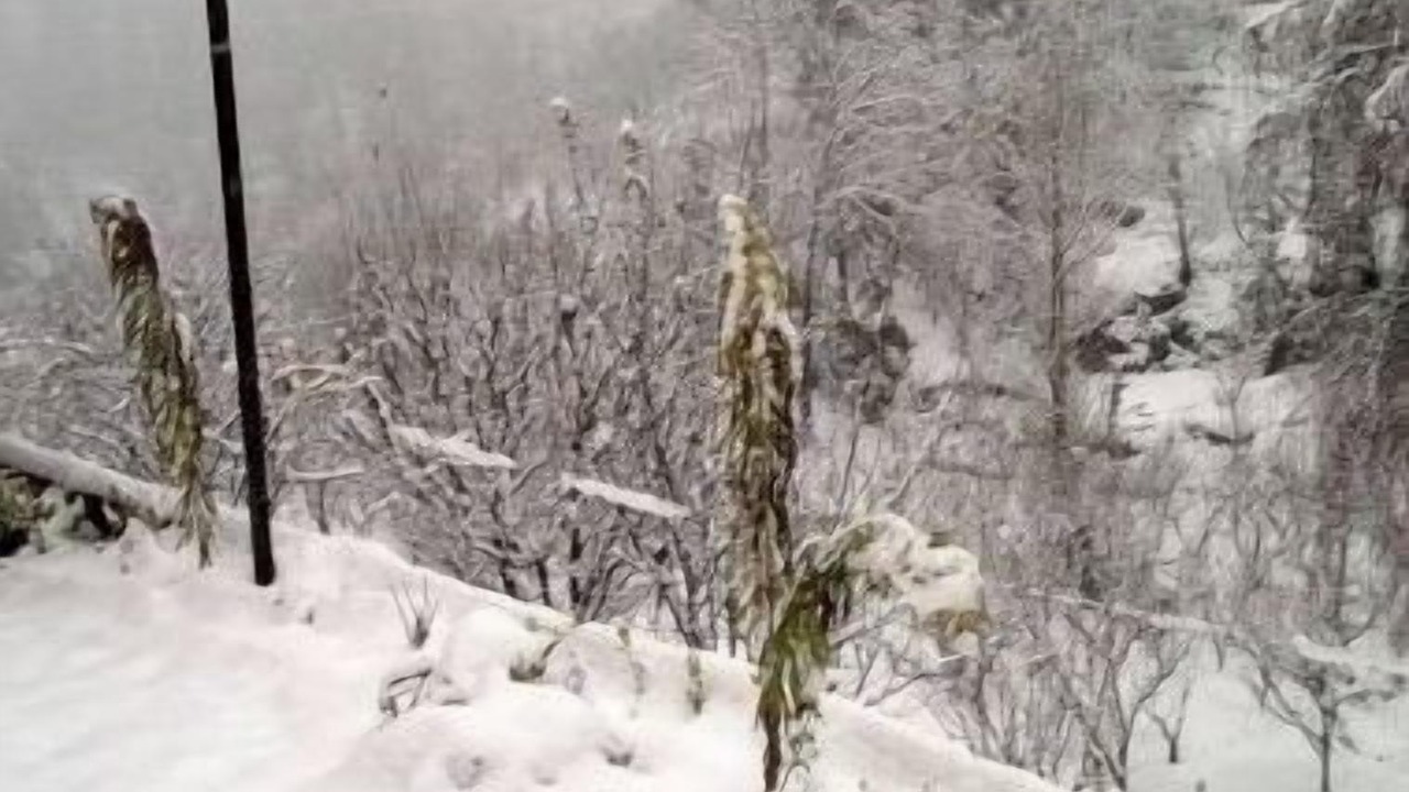 Photo of Outdoor in Nathuakhan