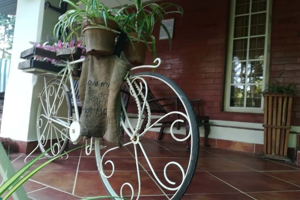 Photo of Outdoor in Thrissur