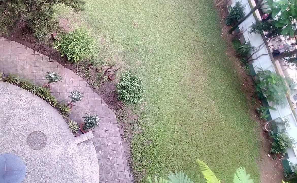 Photo of Outdoor in Dhanmondi